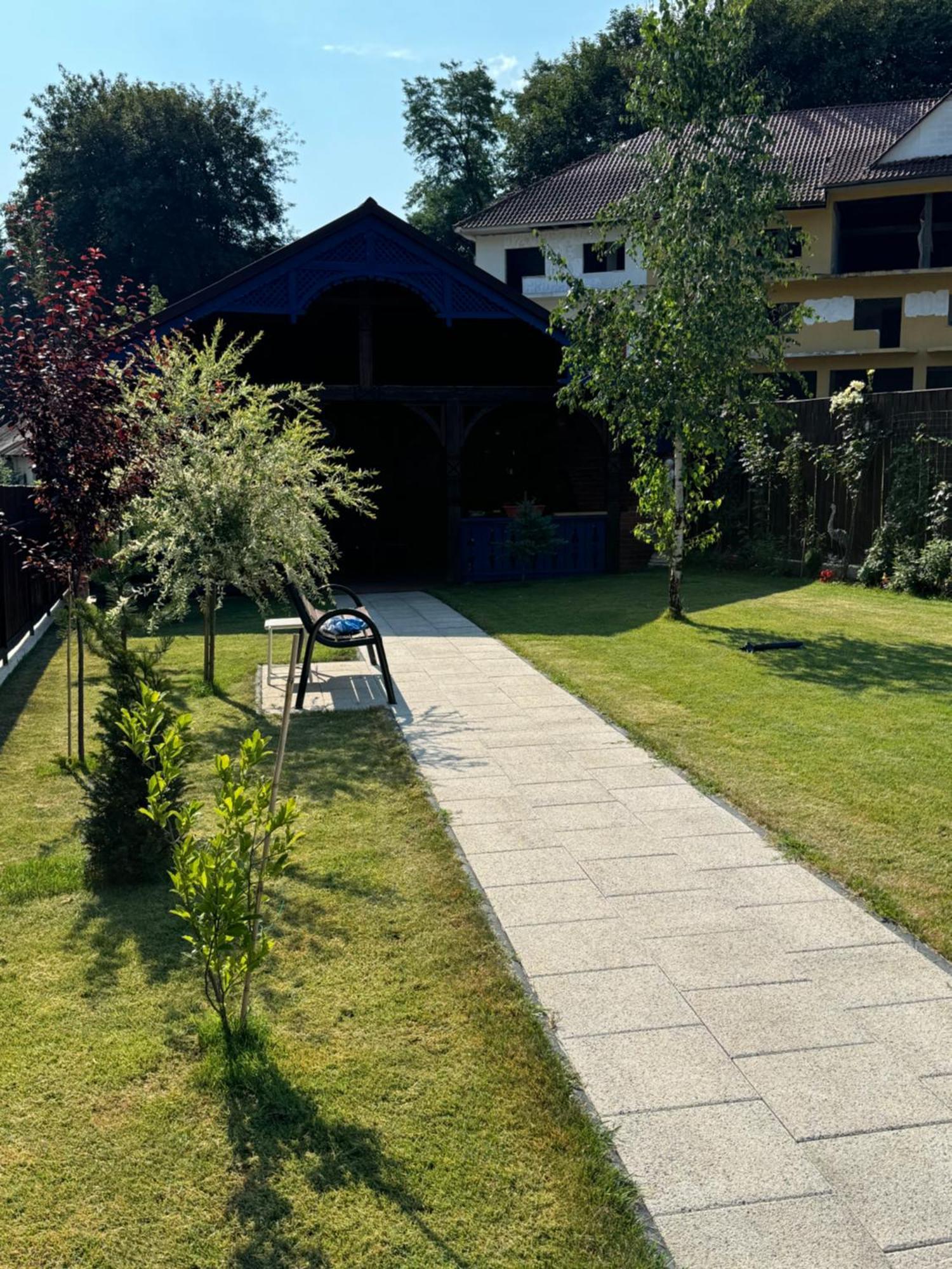 Vila Luminita Singeorz-Bai Buitenkant foto