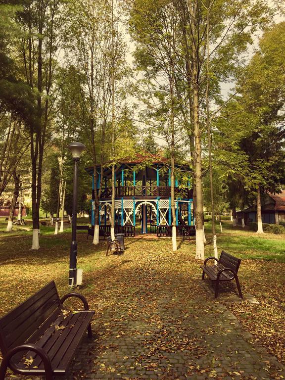 Vila Luminita Singeorz-Bai Buitenkant foto